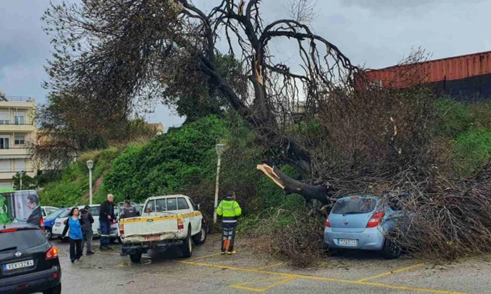 Κλειστά αύριο Τετάρτη τα σχολεία στη Ρόδο